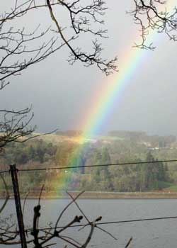 Rainbow over Llyn Tegid