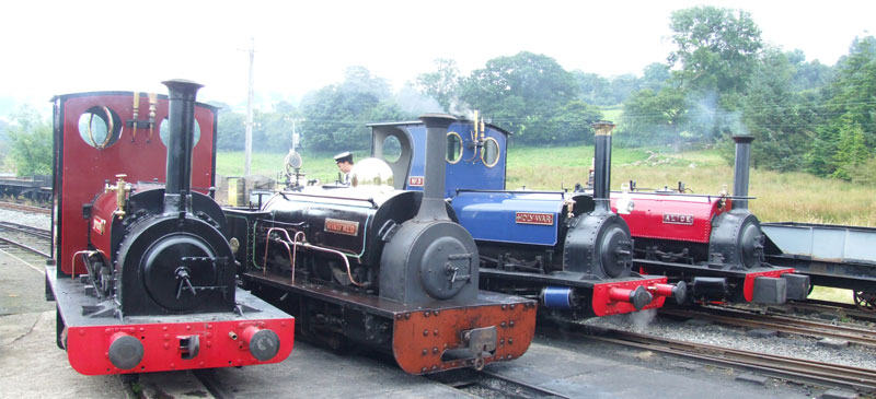 Winifred at her new home on the Bala Lake Railway