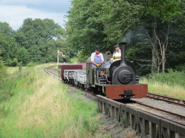 Winfred waits in the Llangower loop with a freight train