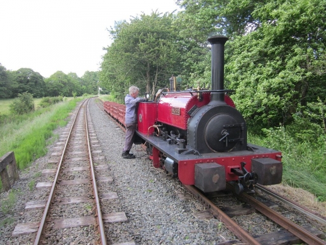 Alice with the Dinorwig slate wagons at Llangower
