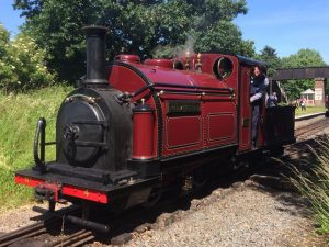 Palmerston at Bala with volunteer Dave Rutt as fireman