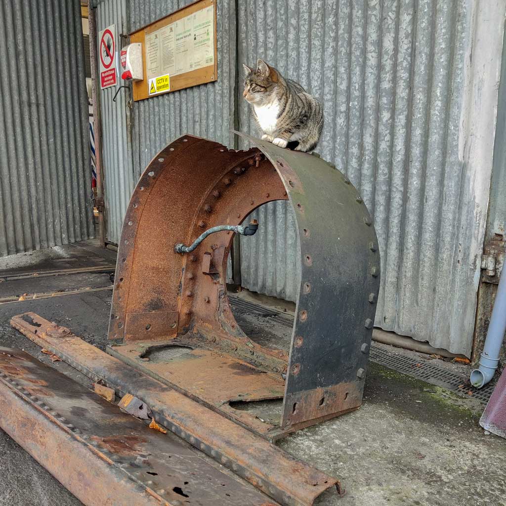 Marian the cat on an old smokebox