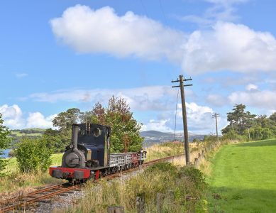 August 2024 Steam Gala